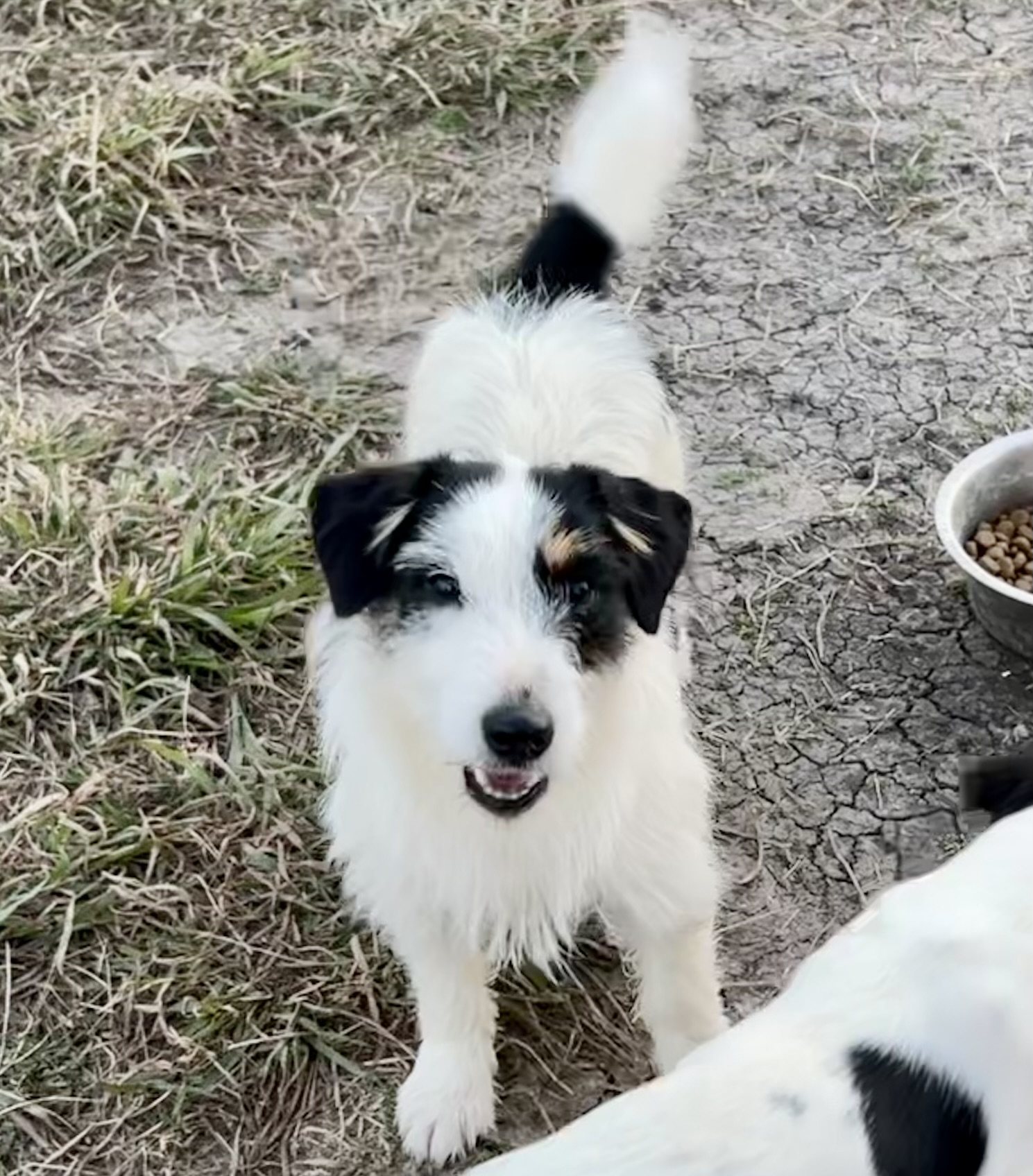 Coco